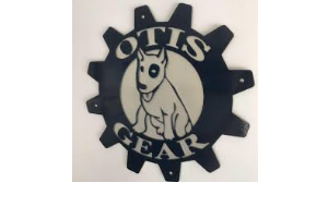 Otis Gear Automotive Oshawa  DriveLink.ca