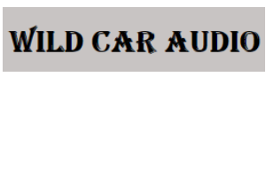 Wild Car Audio